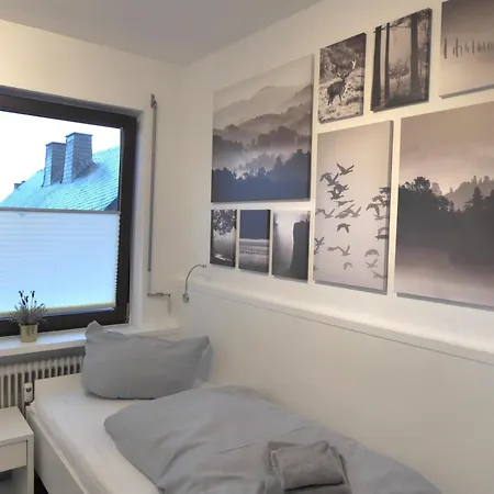 Family Star Winterberg Ferienwohnung 6 Pers Wifi Pool Near Bikepark Apartment