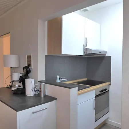 Family Star Winterberg Ferienwohnung 6 Pers Wifi Pool Near Bikepark